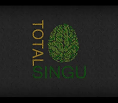 Total Singu Steam CD Key