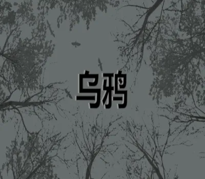 Crows - 乌鸦 PC Steam CD Key