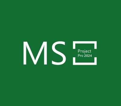 MS Project Professional 2024 Bind