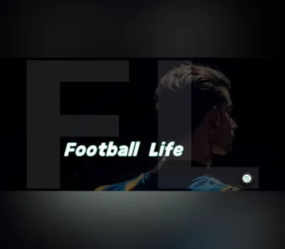 FootballLife (职业足球生涯) PC Steam CD Key