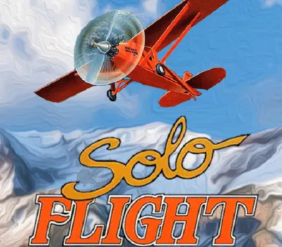 Solo Flight PC GOG CD Key