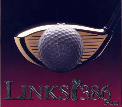 Links 386 Pro PC GOG CD Key