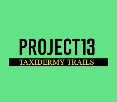 Project 13: Taxidermy Trails EU PS5 CD Key