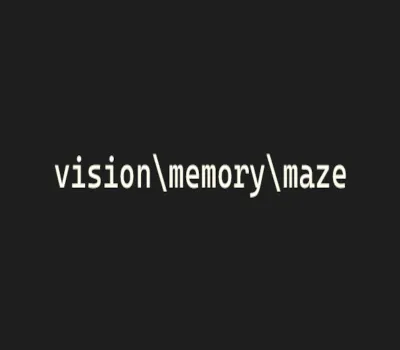 vision\memory\maze Steam CD Key