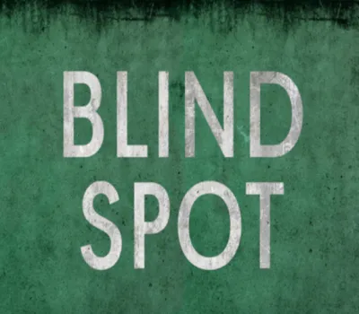 BLIND SPOT PC Steam CD Key