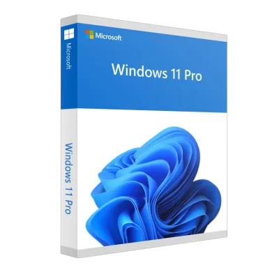Windows 10/11 Pro
