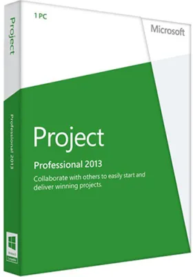 Microsoft Project Professional 2013 (Windows)