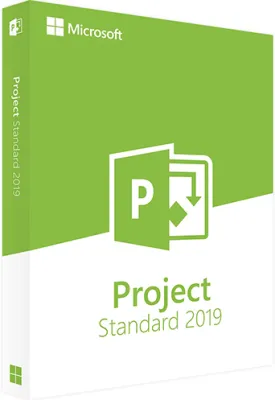 Microsoft Project Standard 2019 (Windows)
