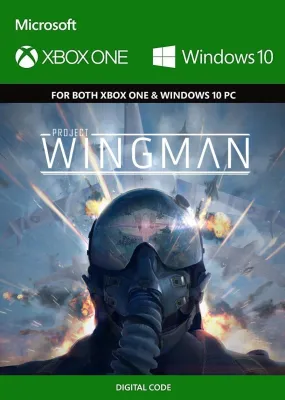 Project Wingman