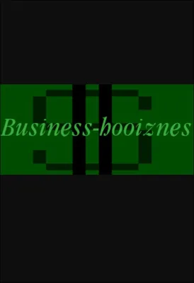Business-hooiznes