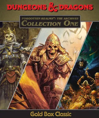 Forgotten Realms: The Archives - Collection One Steam