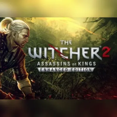 The Witcher 2 (PC) Steam Gift