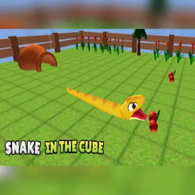 Snake In The Cube