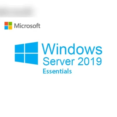 Microsoft Windows Server 2019 Essentials