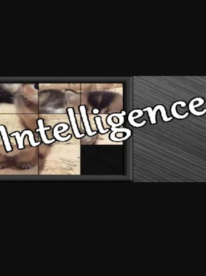 Intelligence