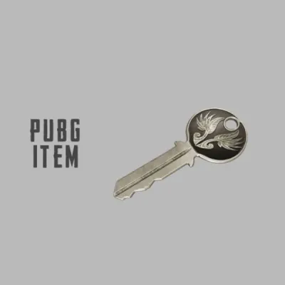 PUBG PlayerUnknown's Battlegrounds: Early Bird Key (DLC)