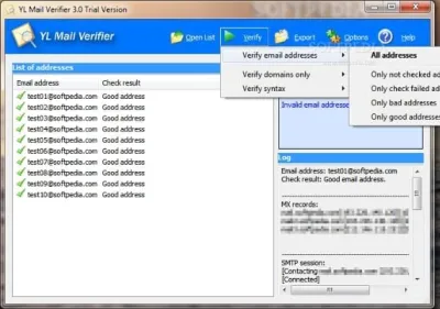 YL Mail Verifier