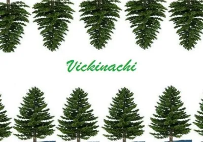 Vickinachi