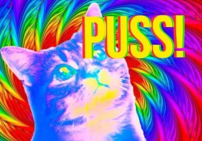 Puss!