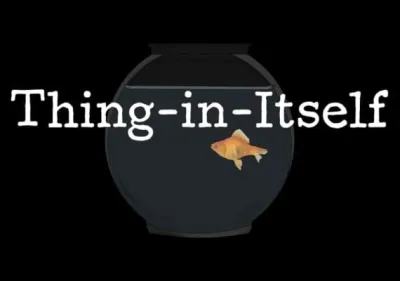 Thing-in-Itself