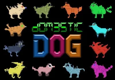 Domestic Dog