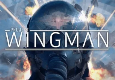 Project Wingman