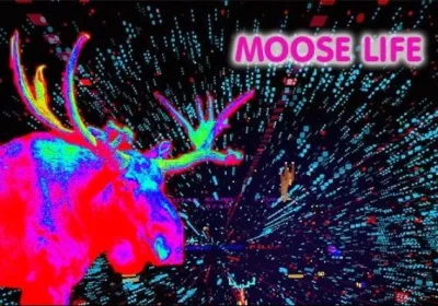 Moose Life