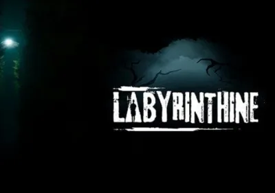 Labyrinthine