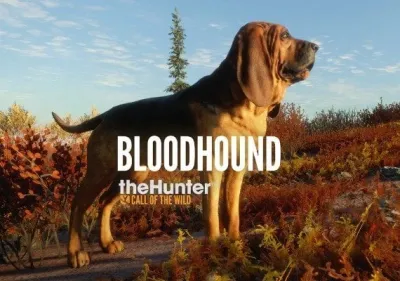 theHunter: Call of the Wild - Bloodhound DLC