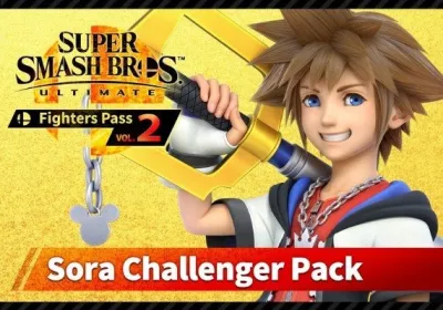 Super Smash Bros. Ultimate - Challenger Pack 11 DLC
