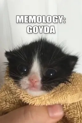 MEMOLOGY: GOYDA Steam