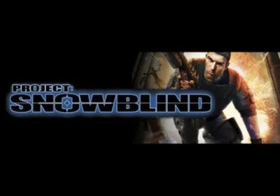 Project: Snowblind