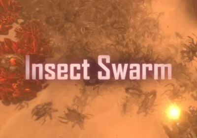 Insect Swarm