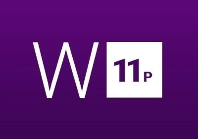 Windows 11 Professional 2 PC