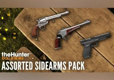theHunter: Call of the Wild - Assorted Sidearms Pack DLC