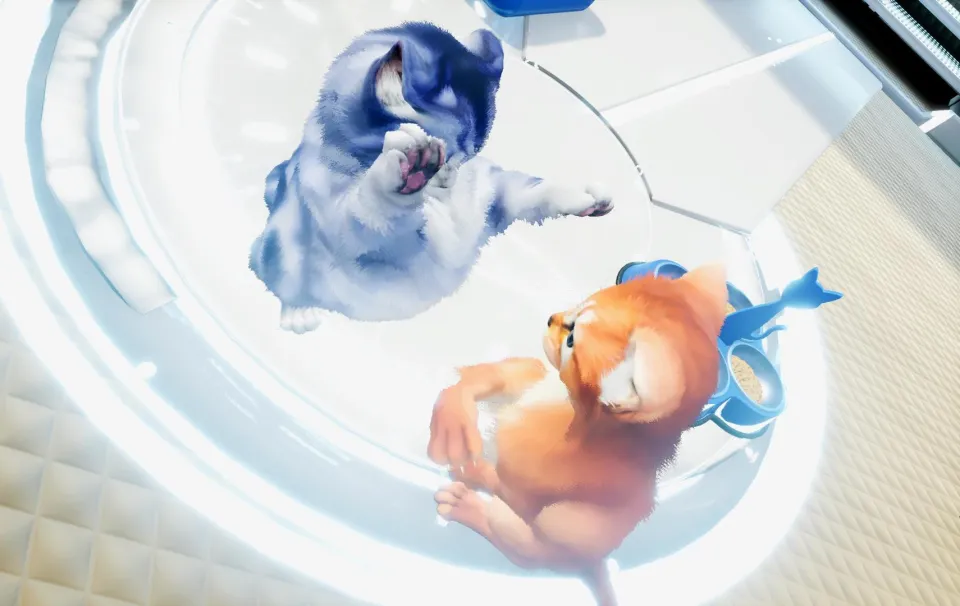 Kitten'd