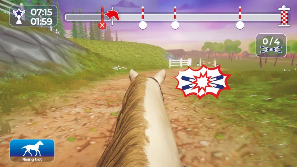 Equestrian Training
