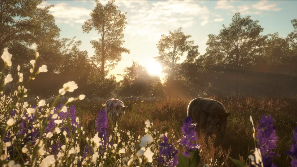 TheHunter: Call of the Wild - Mississippi Acres Preserve