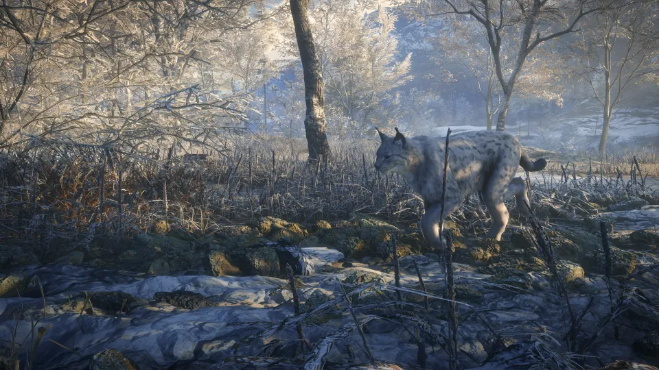 TheHunter: Call of the Wild - Medved-Taiga