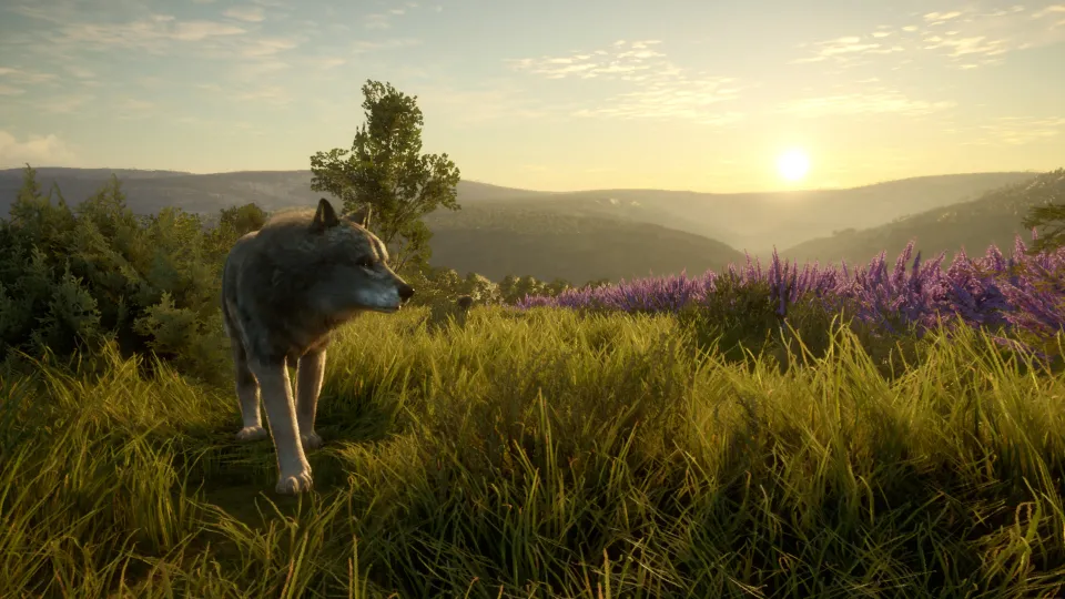 TheHunter: Call of the Wild - Cuatro Colinas Game Reserve