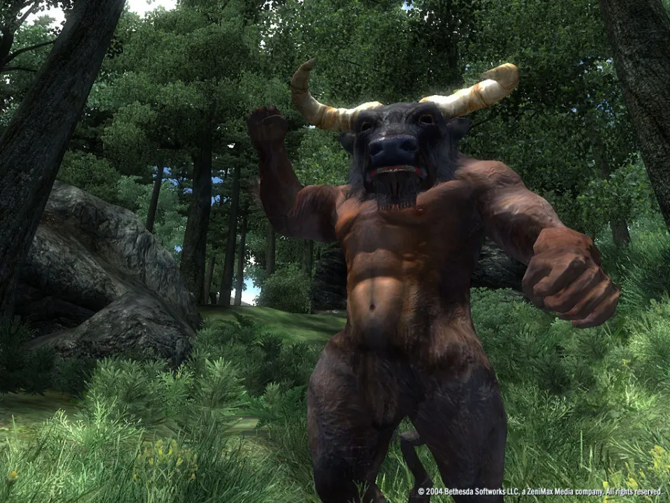 The Elder Scrolls IV: Oblivion GOTY