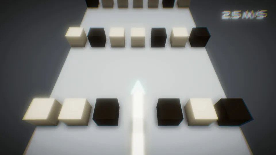 PROJECT VELOCITY