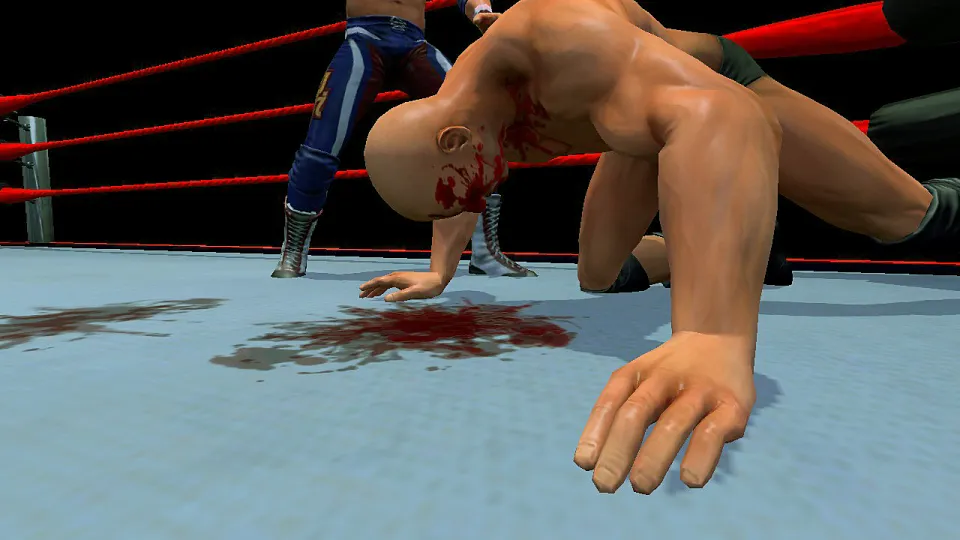 Pro Wrestling X