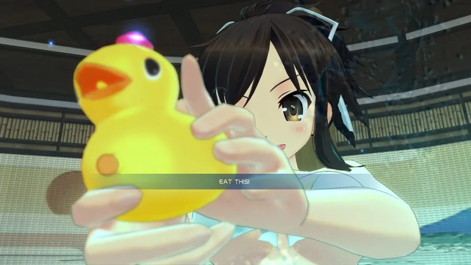 SENRAN KAGURA Peach Beach Splash Sexy Soaker Limited Edition Steam Gift