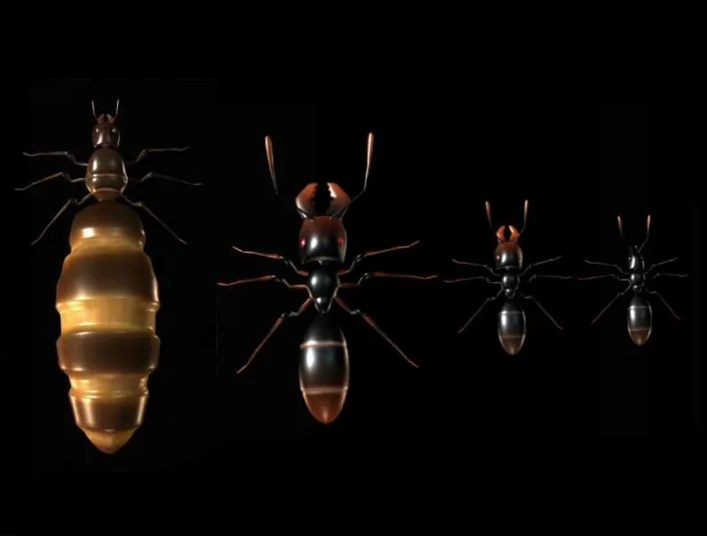 Ant Queen Steam Gift
