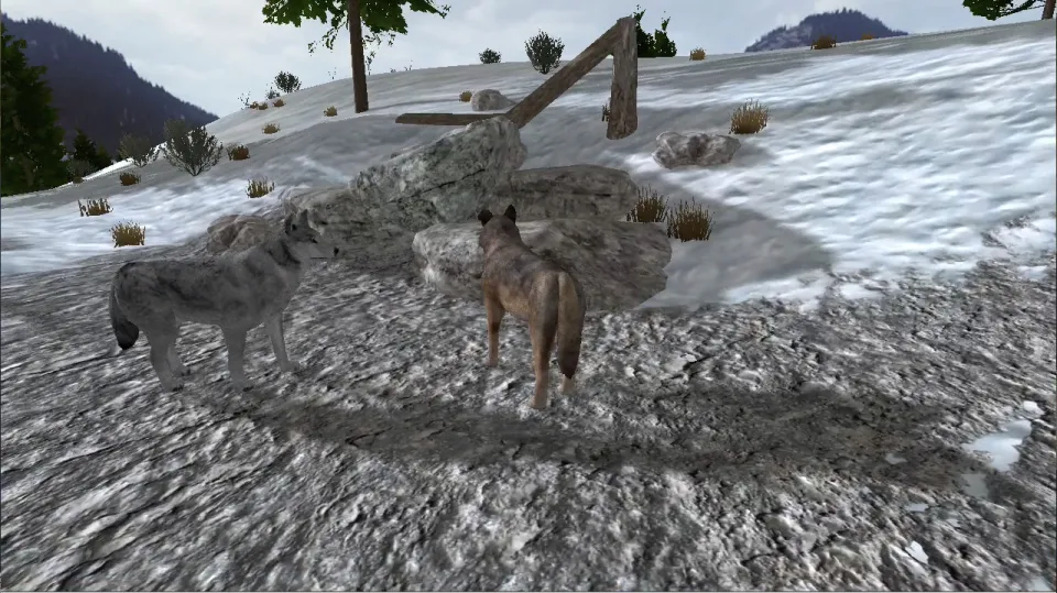 WolfQuest Steam Gift