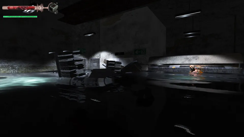 Bleeding Border Steam Gift