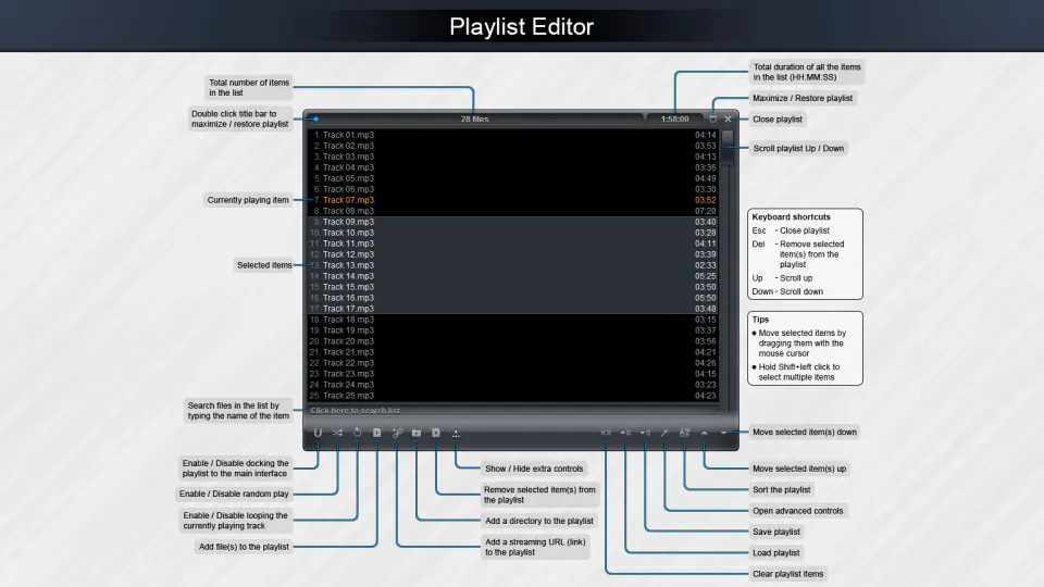Zoom Player Steam Edition Steam Gift