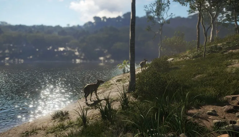 theHunter: Call of the Wild - Emerald Coast Australia