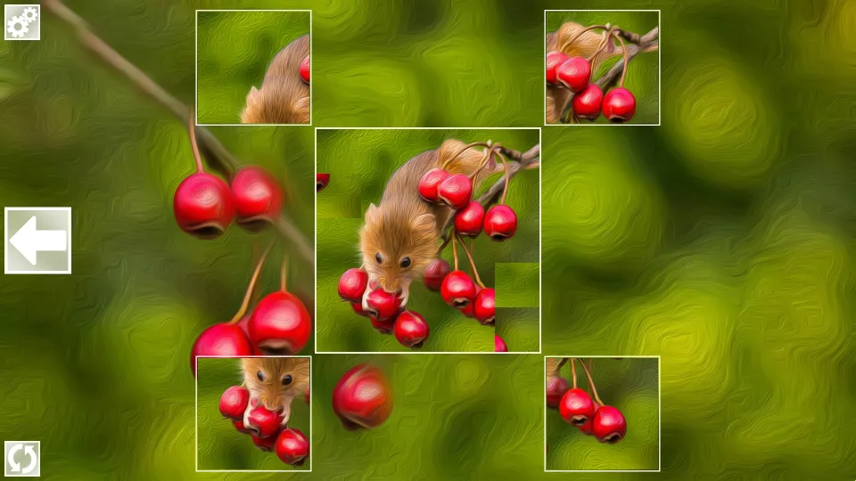 Puzzle Art: Rodents